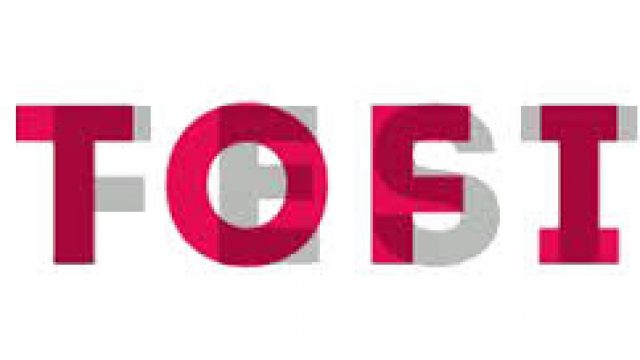 TOFI 13 Międzynarodowy Festiwal Flimowy Toffifest